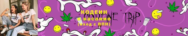 прущий лед Алзамай