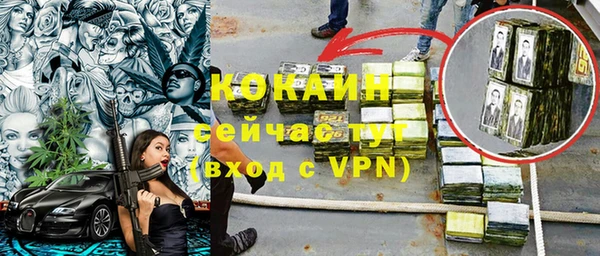 прущий лед Алзамай