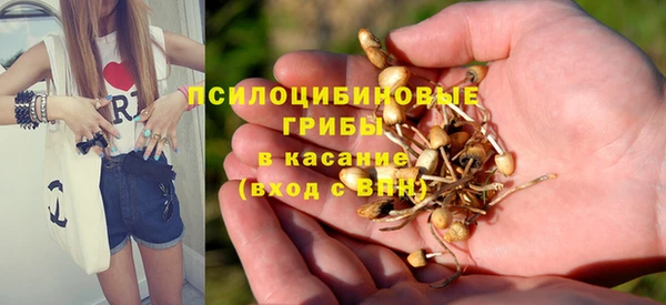 прущий лед Алзамай