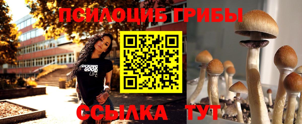 Находка  Псилоцибиновые грибы GOLDEN TEACHER  Вход с VPN  Псилоцибиновые грибы Psilocybe 
